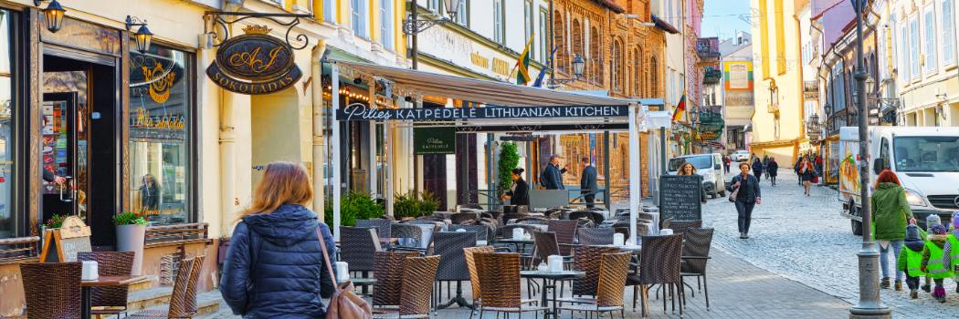 Serwis Вища освіта в Литві, ВНЗ в Литві, v.UK, study